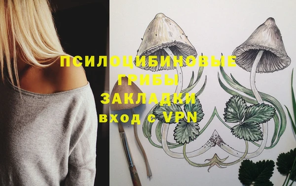 марки nbome Бородино