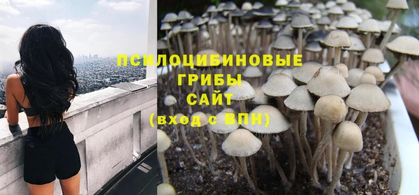 дживик Богданович